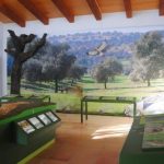 phoca_thumb_l_instalaciones03.jpg &nbsp;