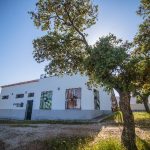 san martin_rsr-9345.jpg &nbsp;