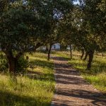 san martin_rsr-9380.jpg &nbsp;