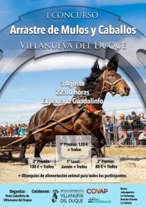 I Concurso de Arrastre de Mulos y Caballos. Villanueva del Duque