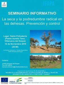 Seminario informativo. Villanueva del Duque