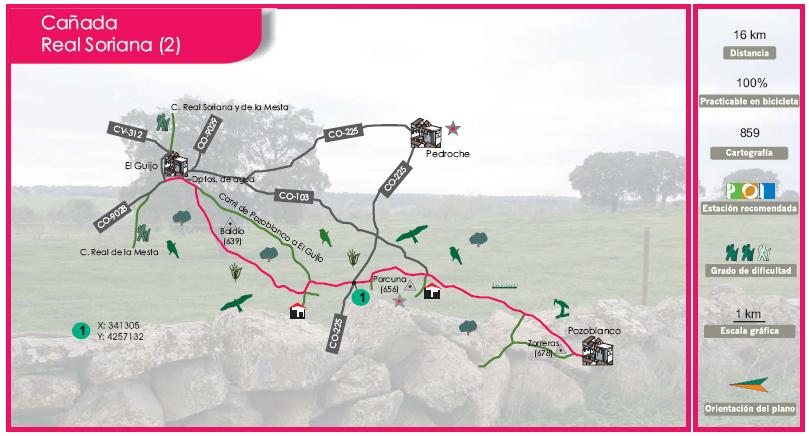 Ruta Cañada Real Soriana desde Pozoblanco (Tramo II)